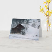 Carte Hiver à Eldora Colorado (Fleur jaune)