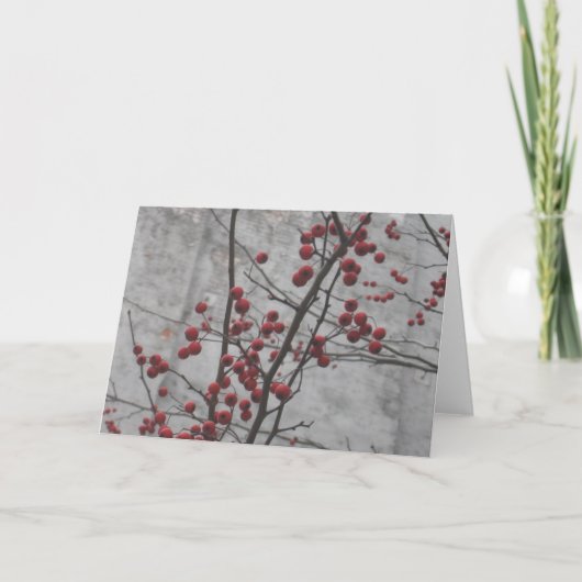 Carte Hiver de NYC (Devant)