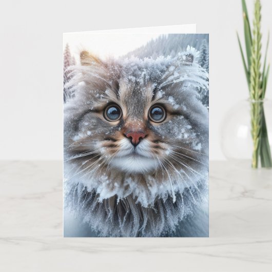 Carte Hiver Maine Coon Chat Anniversaire Humour (Devant)