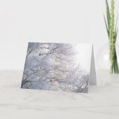 Carte Hiver Matin Neige Branches gelées Nature (Devant)