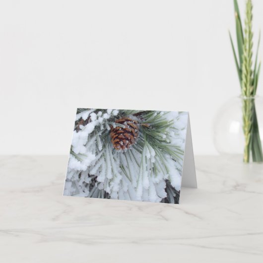 Carte Hiver Pinecone (Devant)