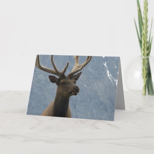 Carte Hmmm, il semble que tu aies un anniversaire à veni (Devant)