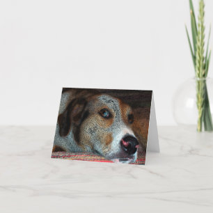 Carte HOBIE Cowdog