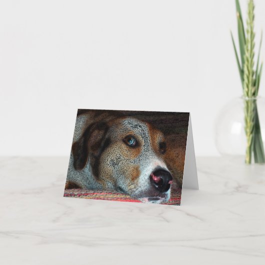Carte HOBIE Cowdog (Devant)