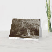 Carte Holly Tree - Sepia (Dos)