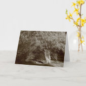 Carte Holly Tree - Sepia (Fleur jaune)