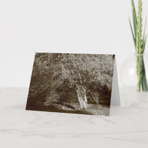 Carte Holly Tree - Sepia