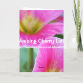 Carte Hollyhocks rose vif (Dos)