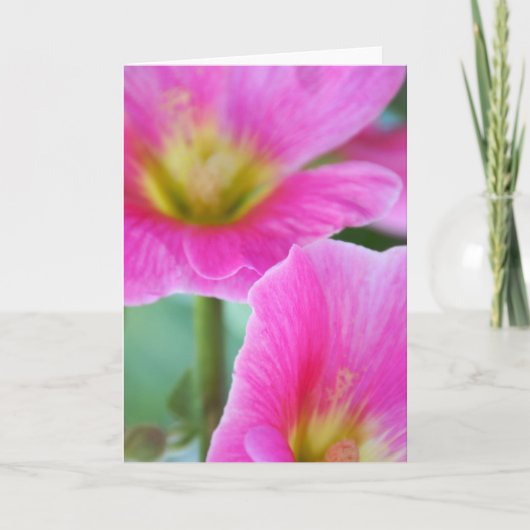 Carte Hollyhocks rose vif (Devant)