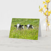 Carte Holstein veaux (Fleur jaune)
