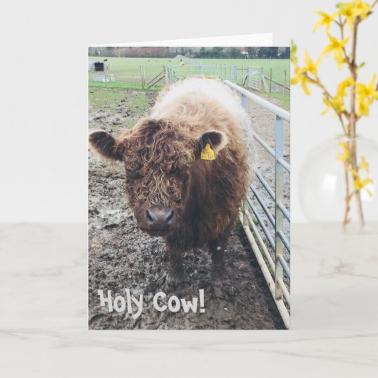 Carte Holy Cow (Fleur jaune)