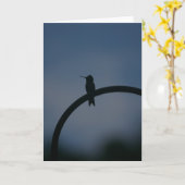 Carte Homme Ruby Throat Hummingbird (Fleur jaune)
