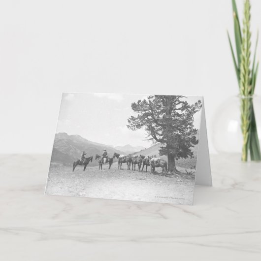 Carte Hommes avec chevaux de bât regardant au-dessus (Devant)