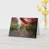 Carte Honeysuckle [Carte de voeux] (Fleur jaune)