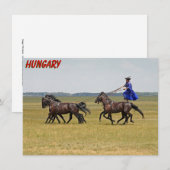 Carte Hongrie cavalier et cheval (Devant / Derrière)