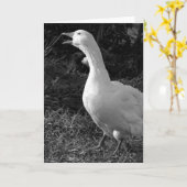 Carte Honking Sebbie (Fleur jaune)