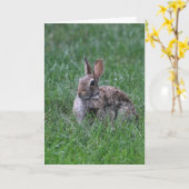 Carte Hop (Fleur jaune)