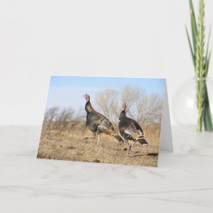 Carte Horizon de la Turquie