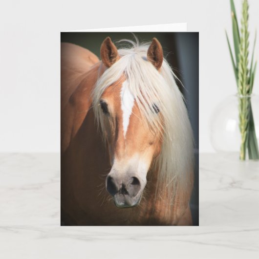 Carte Horse d'Haflinger (Devant)