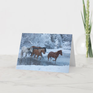 Carte Horse Drive in Winter