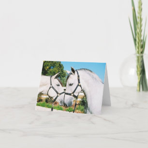 CARTE HORSE KISS