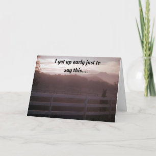 CARTE HORSE N'A PAS PU ATTENDRE DE DIRE "JOLI ANNIVERSAI