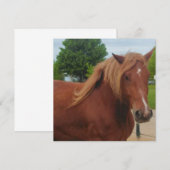 Carte Horse Note Card | Elegant Equestrian Greeting Card (Devant / Derrière)