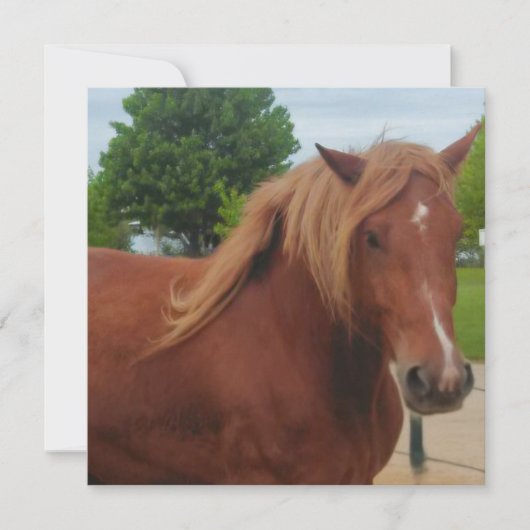 Carte Horse Note Card | Elegant Equestrian Greeting Card (Devant)