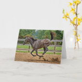 Carte Horse Tennessee Walker Filly Card (Fleur jaune)