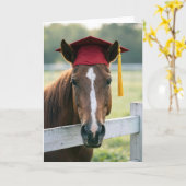 Carte Horse Wearing a Red Graduation Cap (Fleur jaune)