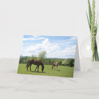 Carte Horses Grazing on Fields Greeting Card