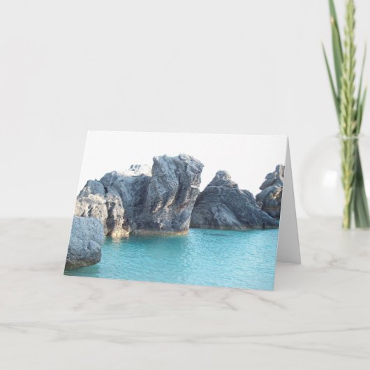 Carte Horseshoe Beach Bermuda (Devant)