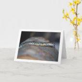 Carte Horseshoe Whip Snake (Fleur jaune)