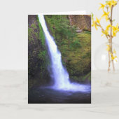 Carte Horsetail Falls, Oregon (Fleur jaune)