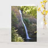 Carte Horsetail Falls, Oregon (Fleur jaune)