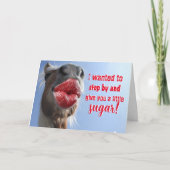 Carte Horsin' Autour Pour Votre Anniversaire (Devant)