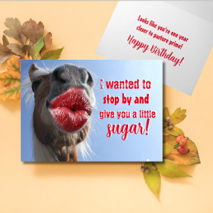 Carte Horsin' Autour Pour Votre Anniversaire