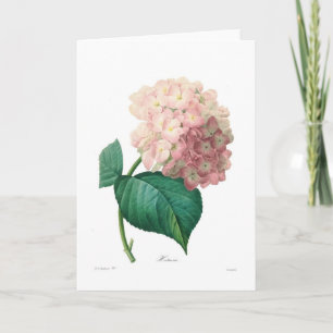 Carte Hortensia