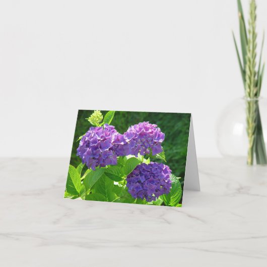 Carte Hortensia 2 (Devant)