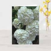 Carte Hortensia 2 de Snowball (Fleur jaune)