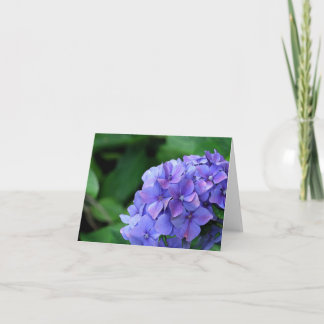 Carte Hortensia 6893
