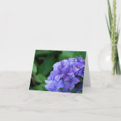 Carte Hortensia 6893 (Devant)