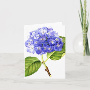 Carte Hortensia bleu