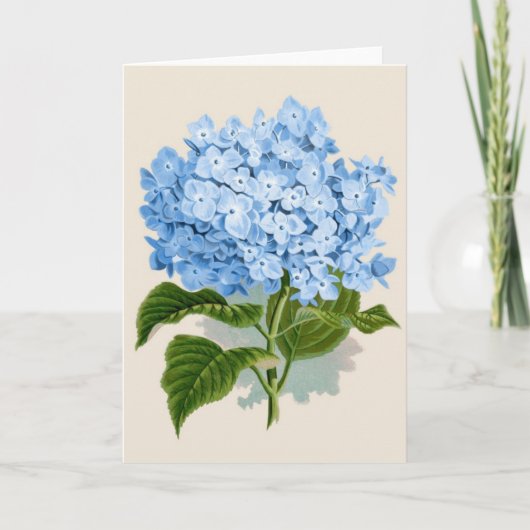 Carte Hortensia bleu vintage (Devant)
