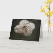 Carte Hortensia Greeting Card (Fleur jaune)