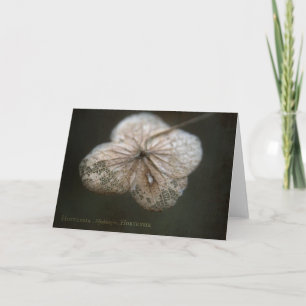 Carte Hortensia Greeting Card