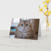 Carte Hosico (Fleur jaune)