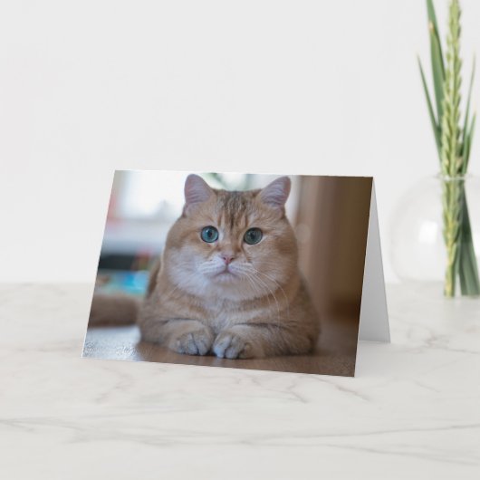Carte Hosico (Devant)