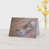 Carte Hosico (Fleur jaune)