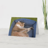 Carte Hosico dort (Devant)